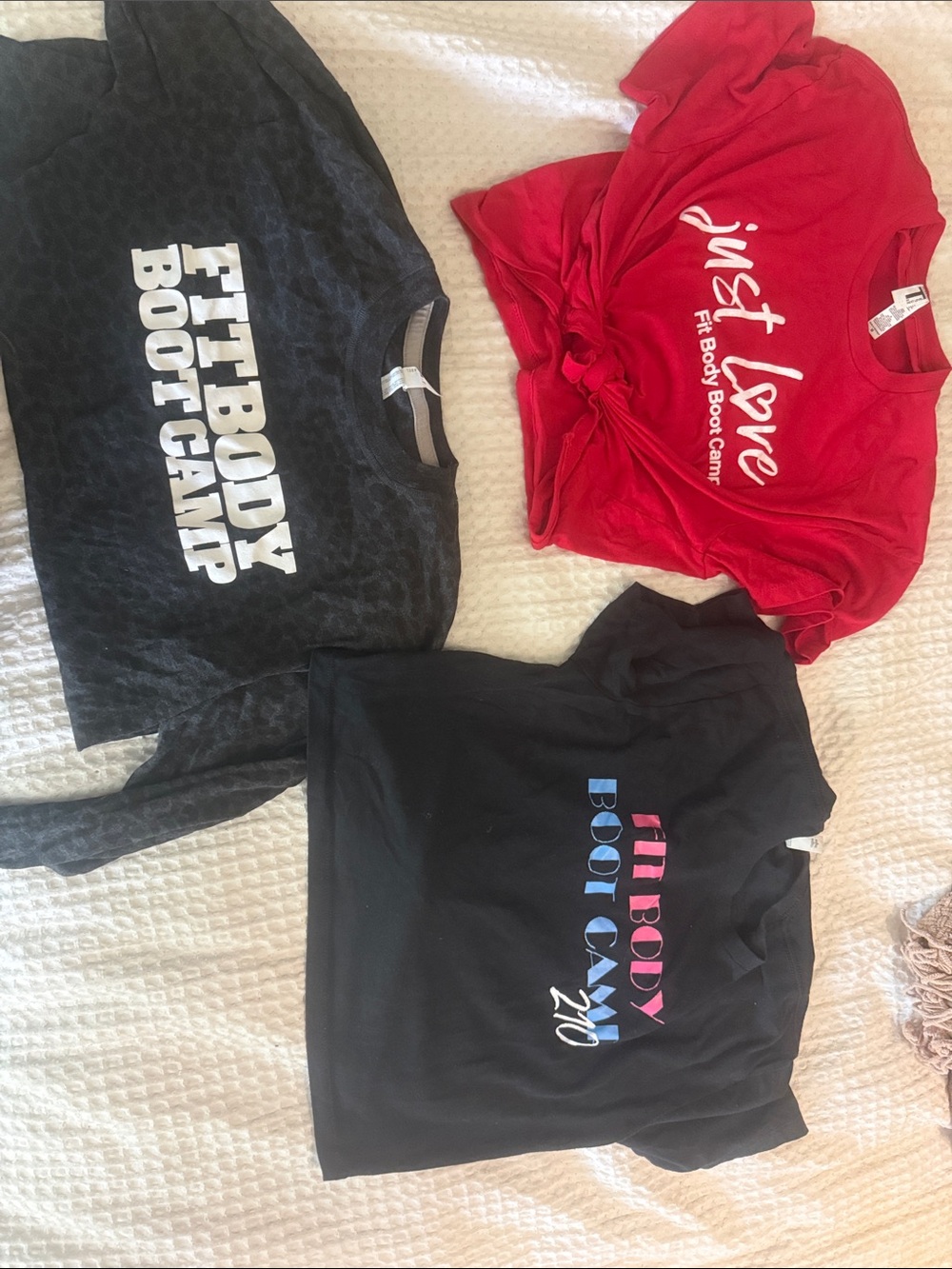 Fit Body Boot Camp Bundle